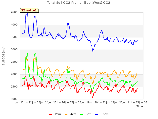 plot of Tonzi Soil CO2 Profile: Tree (West) CO2