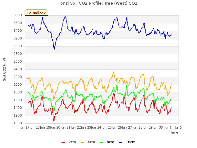 plot of Tonzi Soil CO2 Profile: Tree (West) CO2