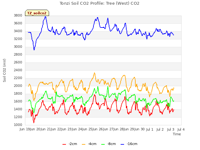 plot of Tonzi Soil CO2 Profile: Tree (West) CO2