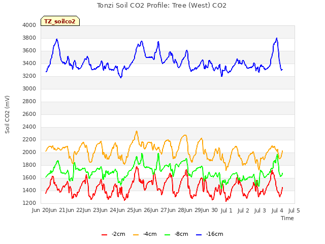 plot of Tonzi Soil CO2 Profile: Tree (West) CO2
