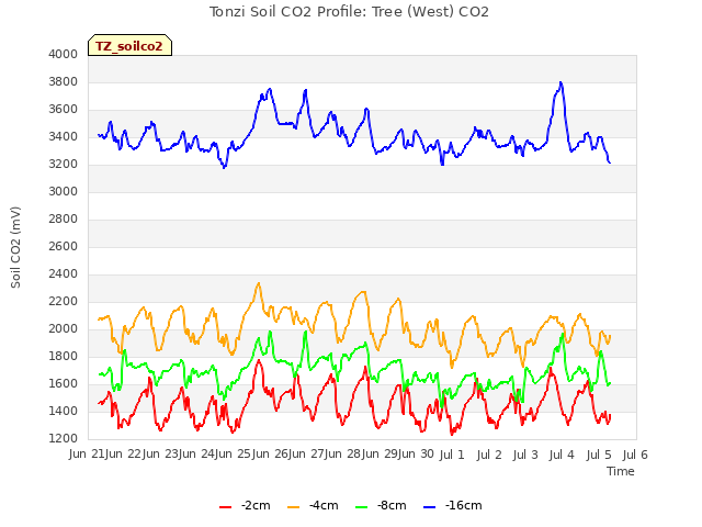 plot of Tonzi Soil CO2 Profile: Tree (West) CO2