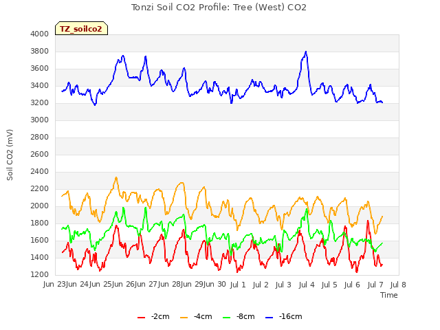 plot of Tonzi Soil CO2 Profile: Tree (West) CO2