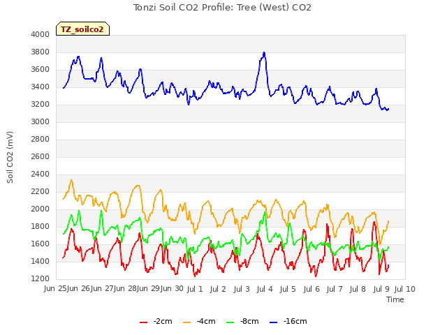 plot of Tonzi Soil CO2 Profile: Tree (West) CO2