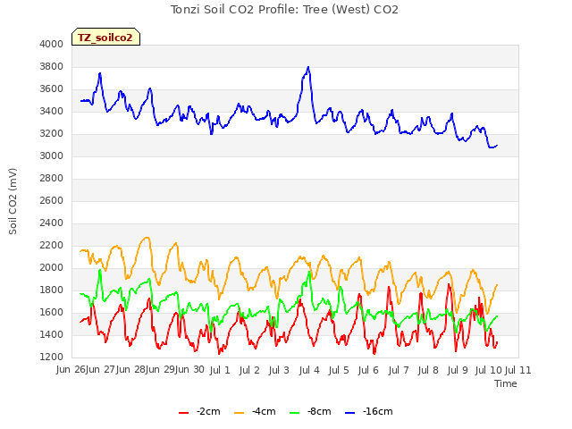 plot of Tonzi Soil CO2 Profile: Tree (West) CO2