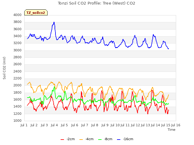 plot of Tonzi Soil CO2 Profile: Tree (West) CO2