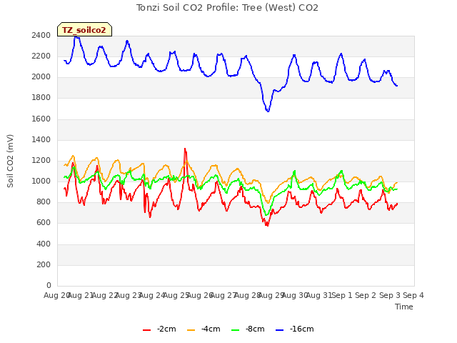 plot of Tonzi Soil CO2 Profile: Tree (West) CO2