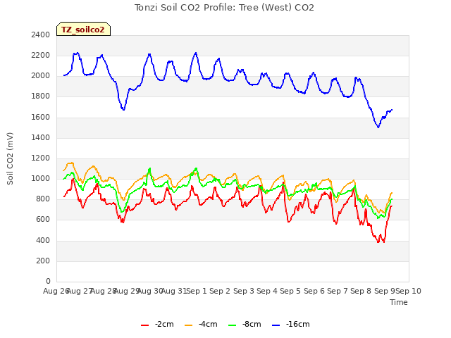 plot of Tonzi Soil CO2 Profile: Tree (West) CO2