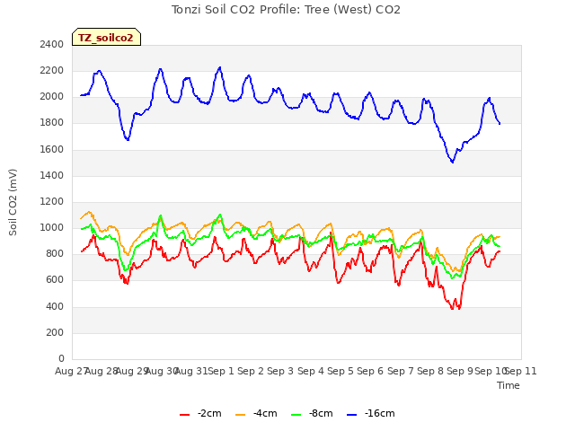 plot of Tonzi Soil CO2 Profile: Tree (West) CO2