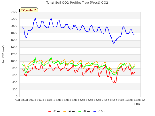 plot of Tonzi Soil CO2 Profile: Tree (West) CO2