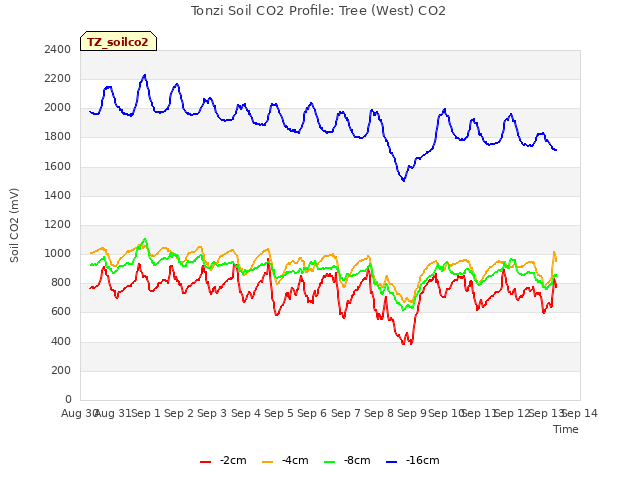plot of Tonzi Soil CO2 Profile: Tree (West) CO2