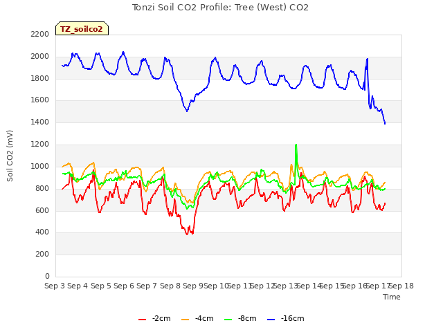 plot of Tonzi Soil CO2 Profile: Tree (West) CO2