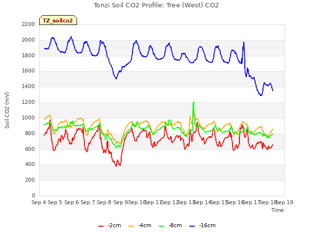 plot of Tonzi Soil CO2 Profile: Tree (West) CO2