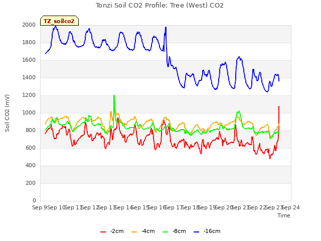 plot of Tonzi Soil CO2 Profile: Tree (West) CO2