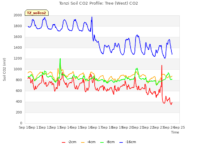 plot of Tonzi Soil CO2 Profile: Tree (West) CO2