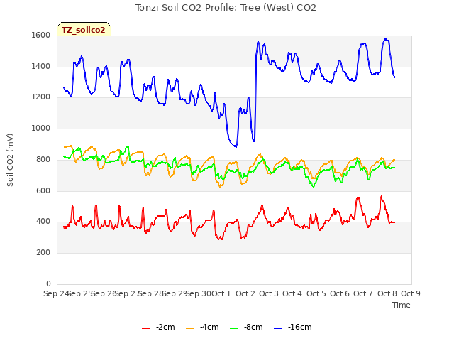 plot of Tonzi Soil CO2 Profile: Tree (West) CO2