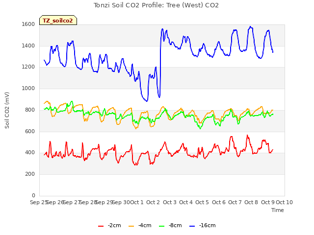 plot of Tonzi Soil CO2 Profile: Tree (West) CO2