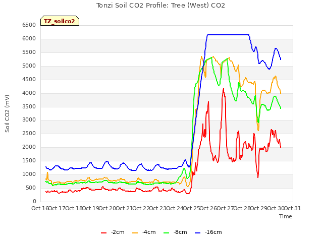 plot of Tonzi Soil CO2 Profile: Tree (West) CO2