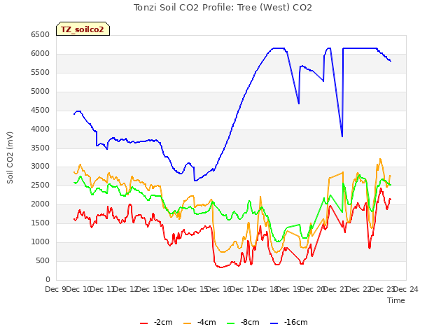 plot of Tonzi Soil CO2 Profile: Tree (West) CO2