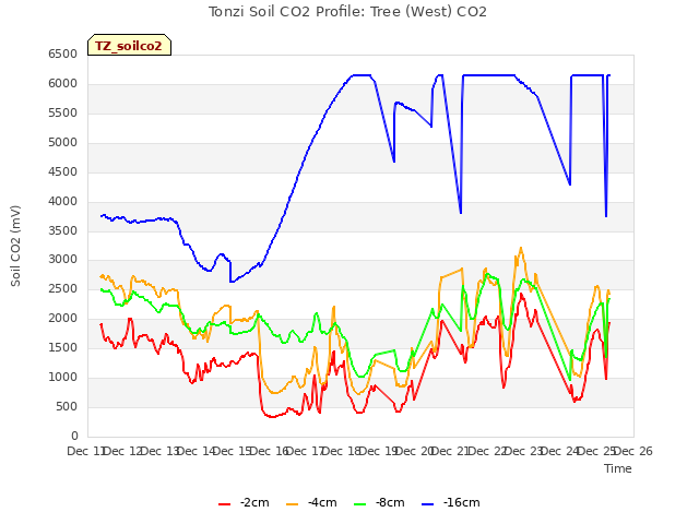 plot of Tonzi Soil CO2 Profile: Tree (West) CO2