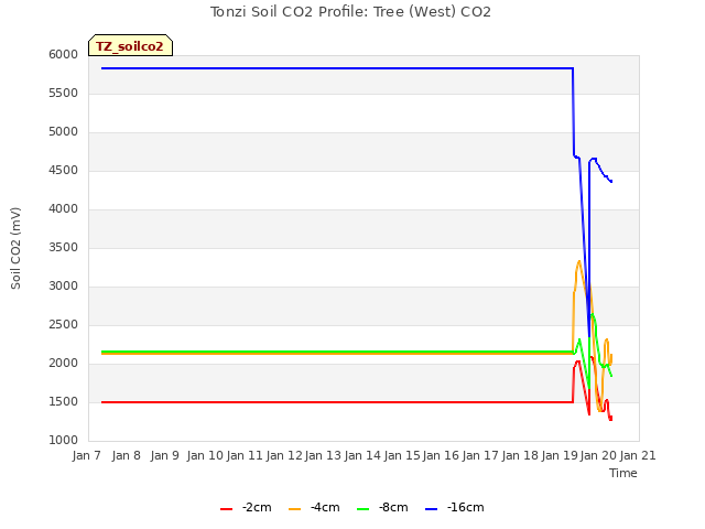 plot of Tonzi Soil CO2 Profile: Tree (West) CO2