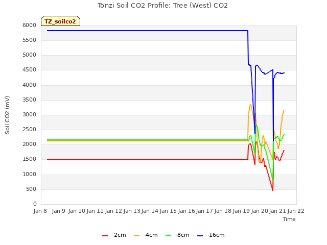 plot of Tonzi Soil CO2 Profile: Tree (West) CO2