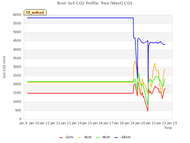 plot of Tonzi Soil CO2 Profile: Tree (West) CO2