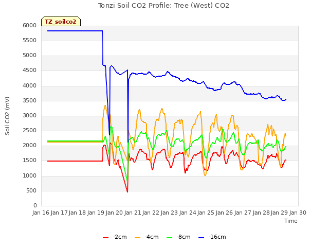 plot of Tonzi Soil CO2 Profile: Tree (West) CO2