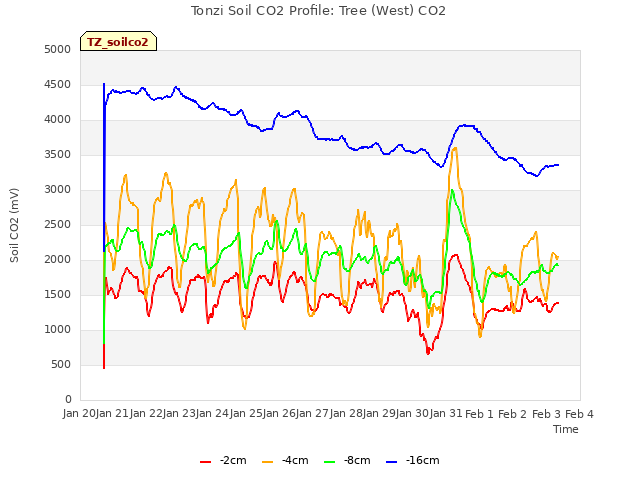 plot of Tonzi Soil CO2 Profile: Tree (West) CO2