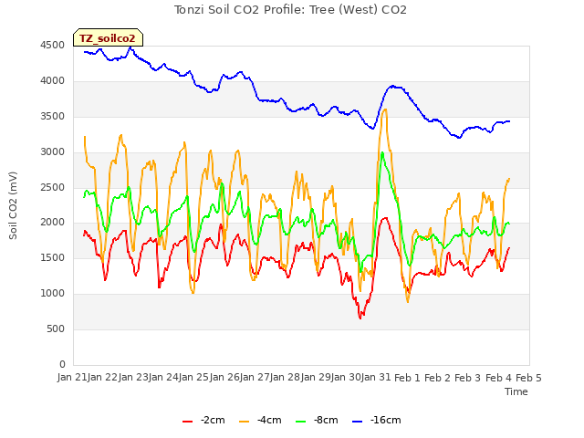 plot of Tonzi Soil CO2 Profile: Tree (West) CO2