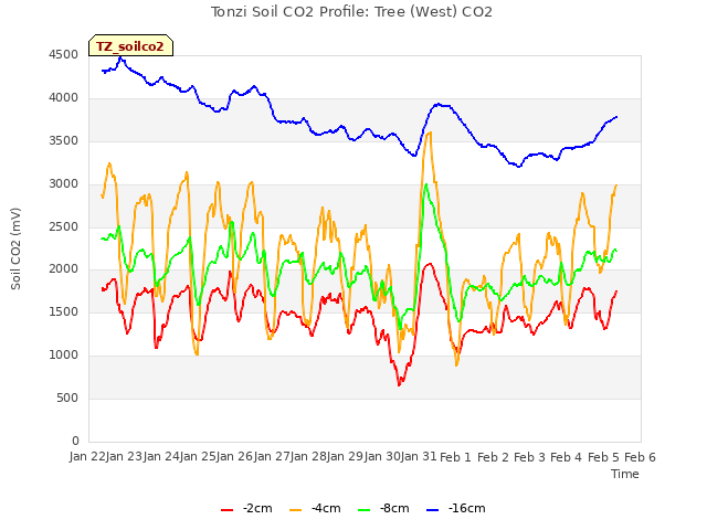 plot of Tonzi Soil CO2 Profile: Tree (West) CO2