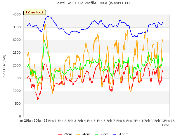 plot of Tonzi Soil CO2 Profile: Tree (West) CO2