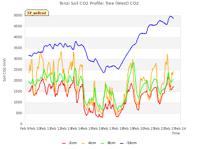 plot of Tonzi Soil CO2 Profile: Tree (West) CO2