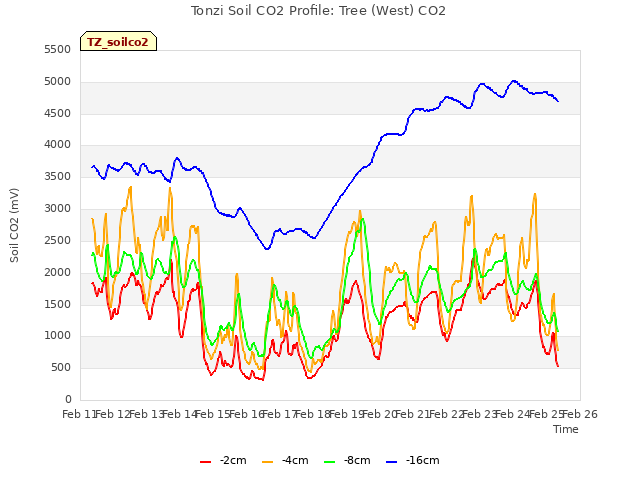 plot of Tonzi Soil CO2 Profile: Tree (West) CO2