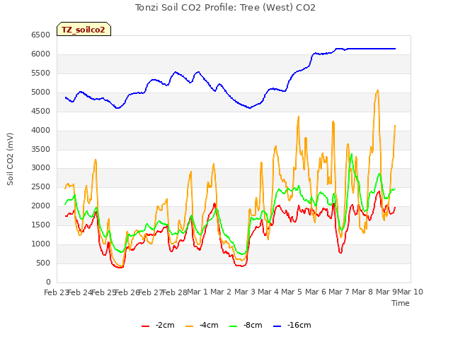 plot of Tonzi Soil CO2 Profile: Tree (West) CO2