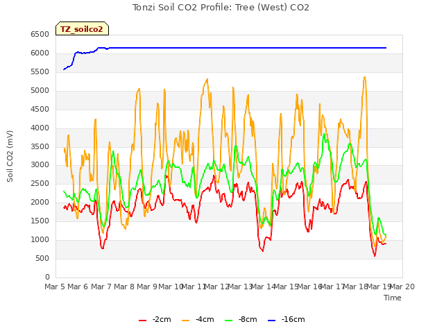 plot of Tonzi Soil CO2 Profile: Tree (West) CO2