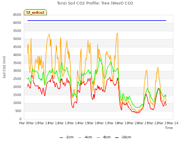 plot of Tonzi Soil CO2 Profile: Tree (West) CO2