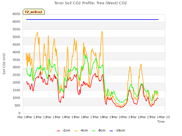 plot of Tonzi Soil CO2 Profile: Tree (West) CO2