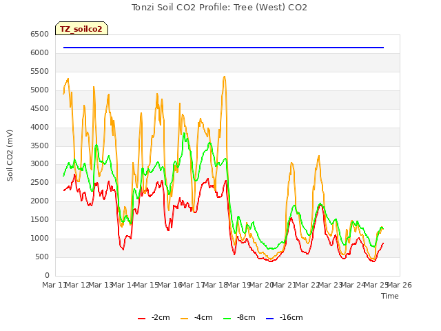 plot of Tonzi Soil CO2 Profile: Tree (West) CO2