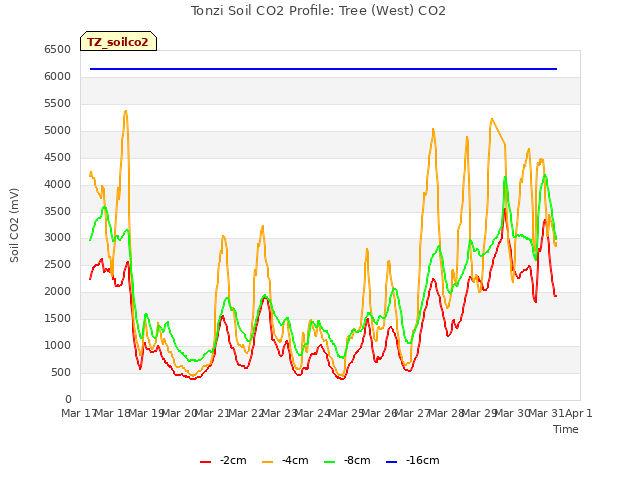 plot of Tonzi Soil CO2 Profile: Tree (West) CO2