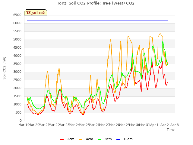 plot of Tonzi Soil CO2 Profile: Tree (West) CO2