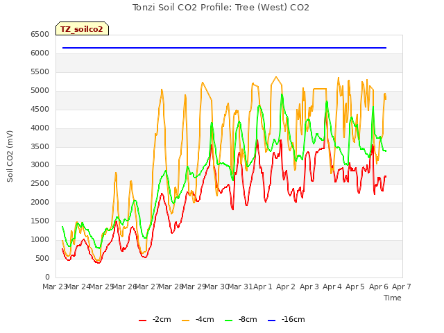 plot of Tonzi Soil CO2 Profile: Tree (West) CO2