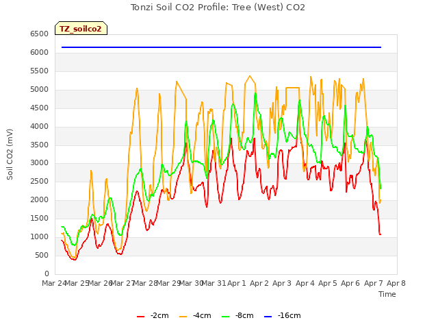 plot of Tonzi Soil CO2 Profile: Tree (West) CO2