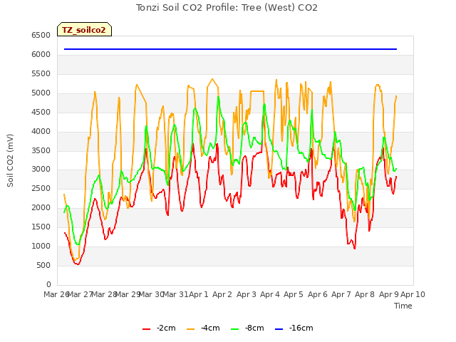 plot of Tonzi Soil CO2 Profile: Tree (West) CO2