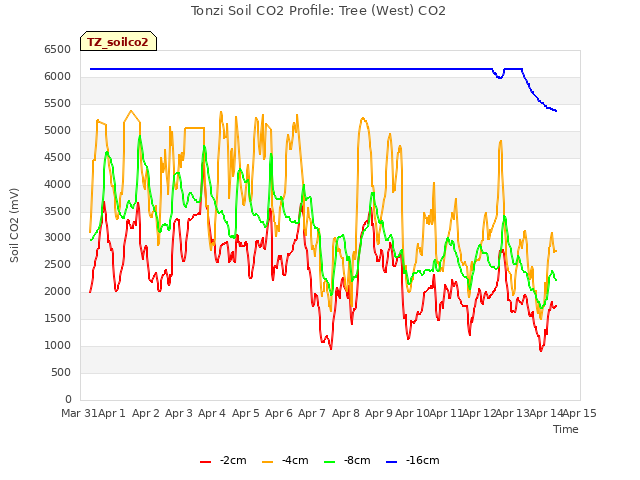 plot of Tonzi Soil CO2 Profile: Tree (West) CO2