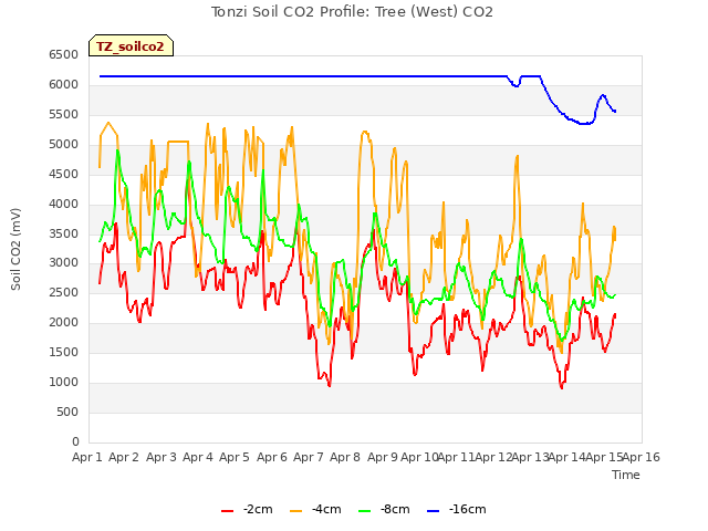 plot of Tonzi Soil CO2 Profile: Tree (West) CO2