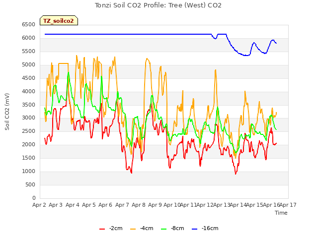 plot of Tonzi Soil CO2 Profile: Tree (West) CO2