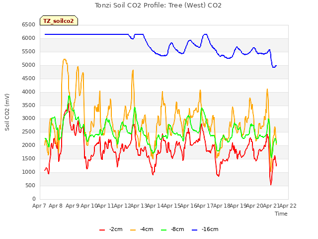 plot of Tonzi Soil CO2 Profile: Tree (West) CO2