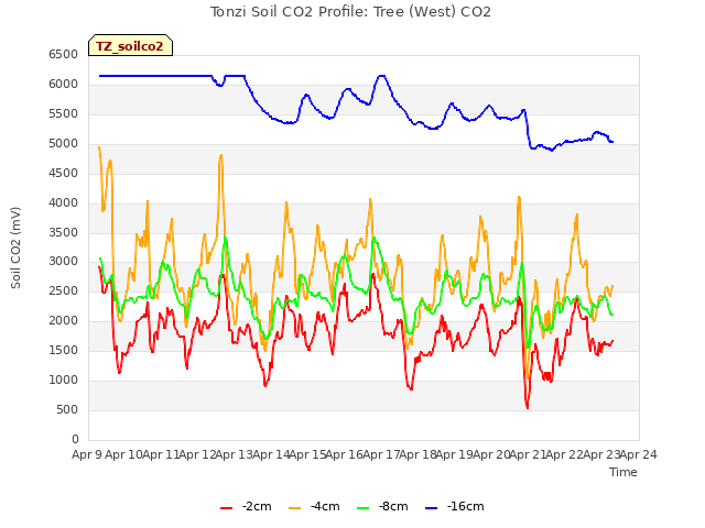 plot of Tonzi Soil CO2 Profile: Tree (West) CO2