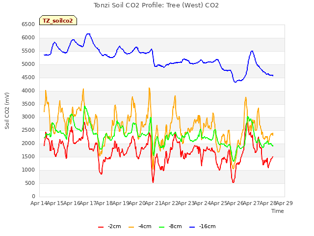 plot of Tonzi Soil CO2 Profile: Tree (West) CO2