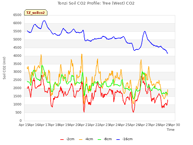 plot of Tonzi Soil CO2 Profile: Tree (West) CO2